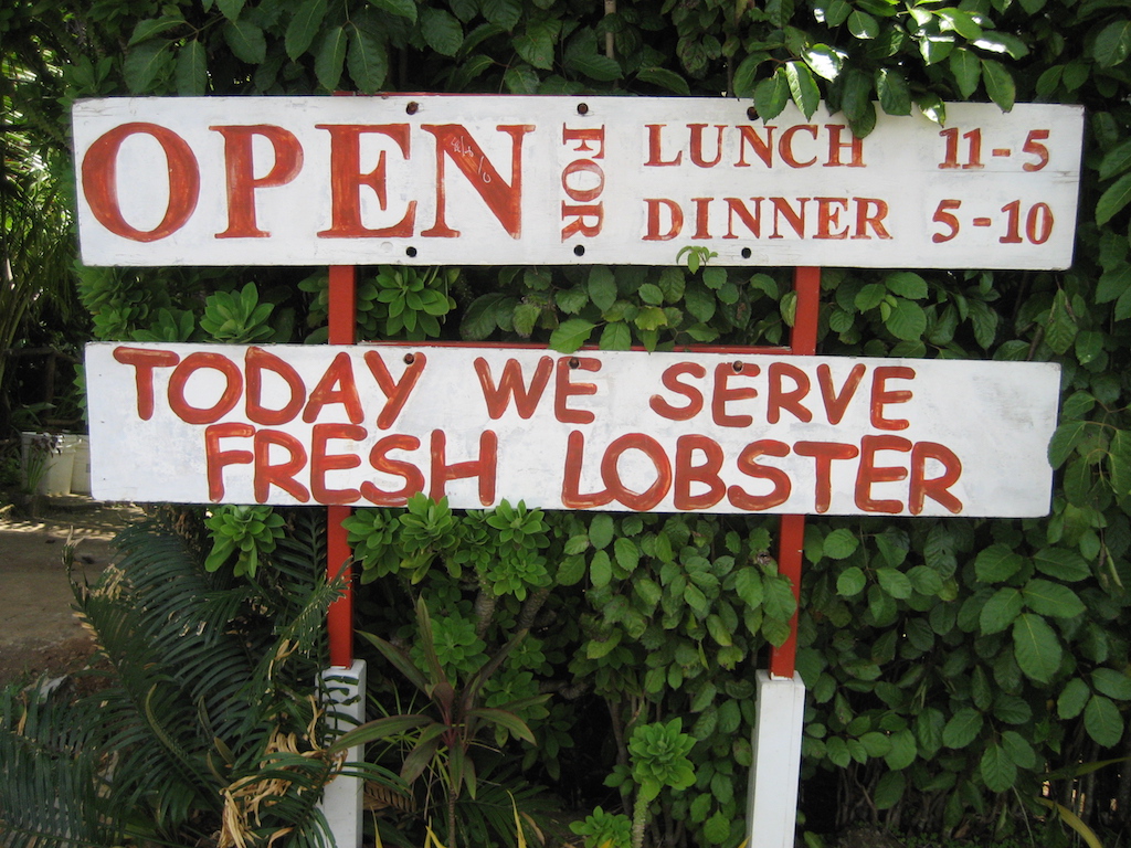 Lobster? You Brought ‘Er!